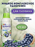 Удобрение "Белвито Голубика", 470 мл   "Азотхимфортис" РБ, фото 2