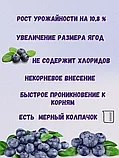 Удобрение "Белвито Голубика", 470 мл   "Азотхимфортис" РБ, фото 3