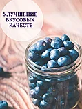 Удобрение "Белвито Голубика", 470 мл   "Азотхимфортис" РБ, фото 5