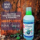 Удобрение "Белвито Голубика", 950 мл   "Азотхимфортис" РБ, фото 9