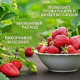 Удобрение "Белвито Клубника и садовая земляника", 470 мл   "Азотхимфортис" РБ, фото 3