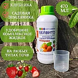 Удобрение "Белвито Клубника и садовая земляника", 470 мл   "Азотхимфортис" РБ, фото 6