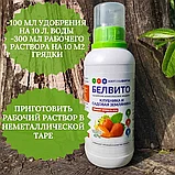 Удобрение "Белвито Клубника и садовая земляника", 470 мл   "Азотхимфортис" РБ, фото 2