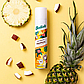 Шампунь сухой Batiste Tropical 200мл, фото 4