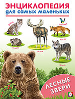 Лесные звери. Энциклопедии для самых маленьких