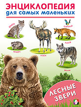 Лесные звери. Энциклопедии для самых маленьких