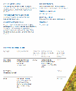 Инсектицид Биская, МД (100 мл), фото 3