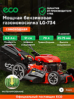 Газонокосилка бензиновая ECO LG-734 самоходная Новая (1276511712) уценка