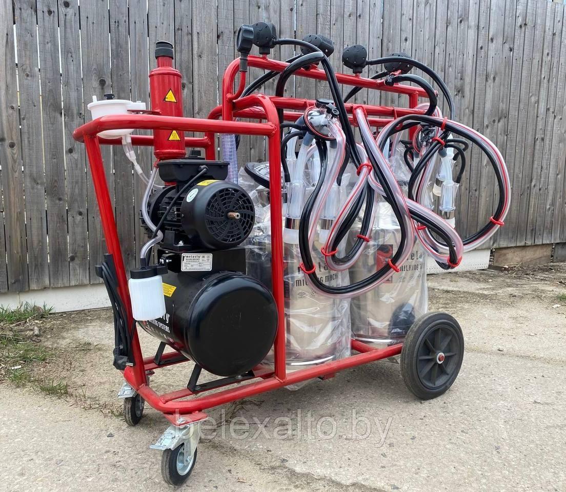 Доильный аппарат TYK4-2PS на 4 коровы