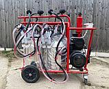 Доильный аппарат TYK4-2PS на 4 коровы, фото 7