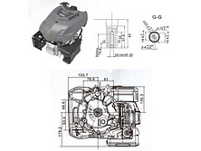Бензиновый двигатель ECO MX176 (5,5 л.с)