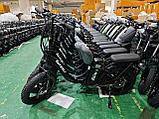 Складной Электровелосипед Shtenli Fedbike RKS 36V10,4А, фото 2