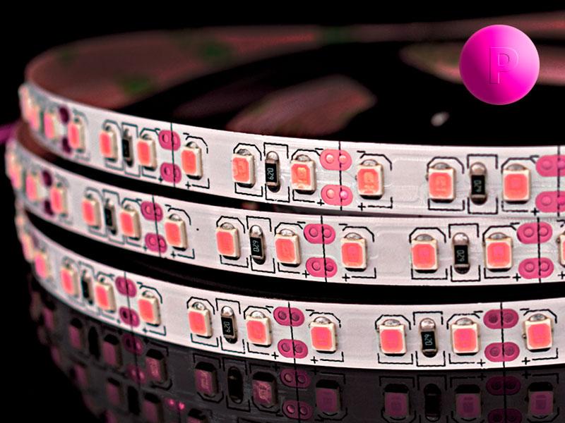 Светодиодная лента SMD 2835 120LED 9,6W 12V IP20 розовый