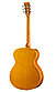 HOMAGE LF-4000 Фольковая гитара, фото 2