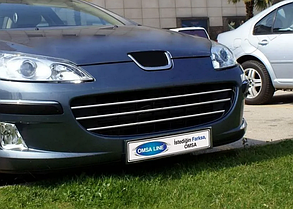 Хромированные накладки на решетку Peugeot 407