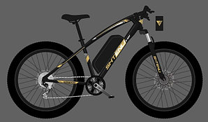 Электровелосипед Shtenli Allroad PCX10 36V10.4А на спицах