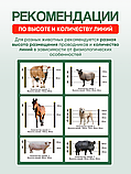 Шнур для электропастуха 500м, фото 4
