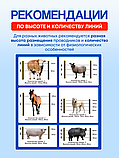 Электропастух для коров и овец ИЭ-4, фото 6