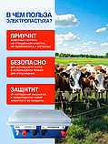 Электропастух для коров и овец ИЭ-4, фото 3