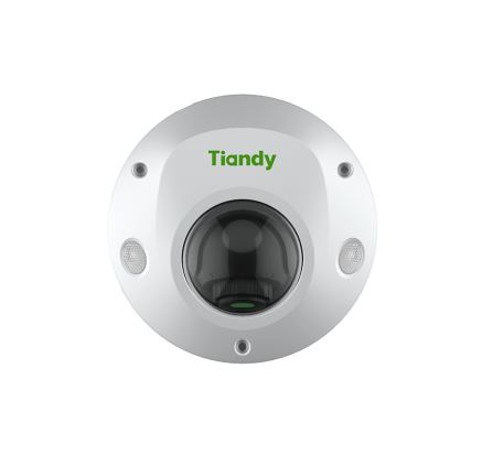 Видеокамера IP 2 мегапикселя Tiandy TC-C32PS широкоугольная