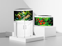 Juwel Аквариум JUWEL Тригон 350, 350л 123x87/87x65см Белый