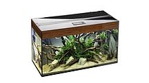 Аквариум Aquael ASPECT 80 OAK SALINA