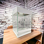 Для рептитилий