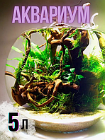 Аквариум круглый плоскодонный 5,5 л
