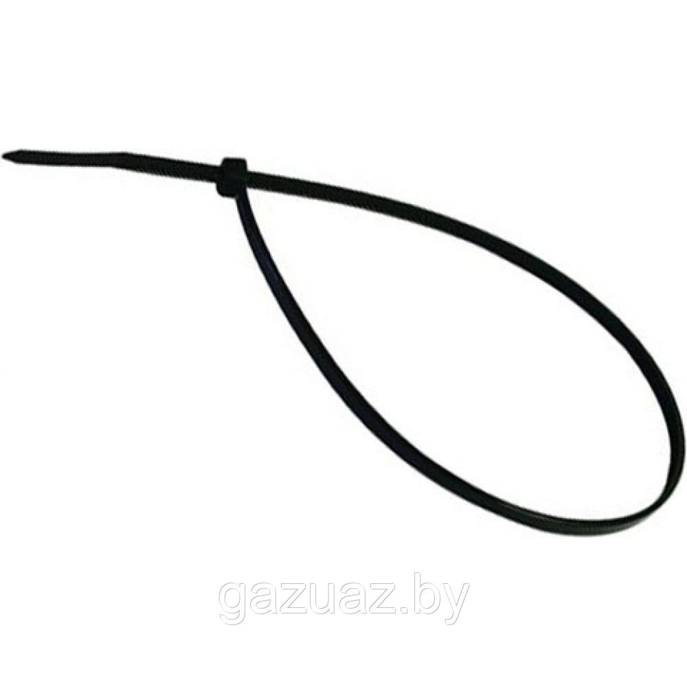 Хомут стяжной (пластмассовый)    3,6 х 250 мм., 100 шт. *Starfix* арт. SMP 45536-100 (черный)