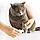 Триммер для когтей домашних животных Pawbby Pet Electric Nail Sharpener (MG-NG001A), фото 7
