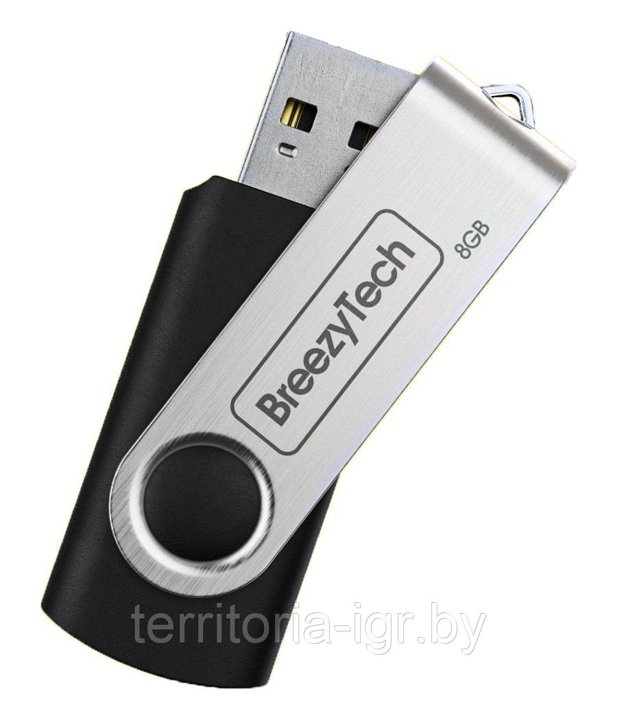 USB флэш-диск 8Gb U006 черный BreezyTech