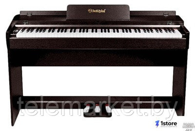 Цифровое пианино Solista DP600R