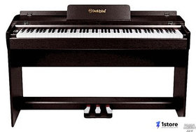 Цифровое пианино Solista DP600R