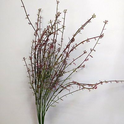 Букет травы полевой 63 см, бордовый