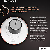 HGG 641 WGSV