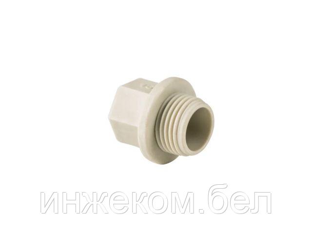 Заглушка резьбовая ПП 1/2" PN25, сер. РТП (РосТурПласт)