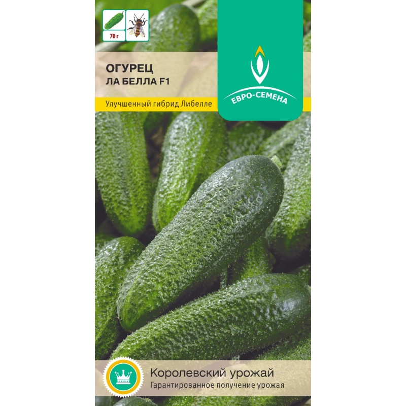 Огурец Ла Белла F1 10шт ЕвроСемена