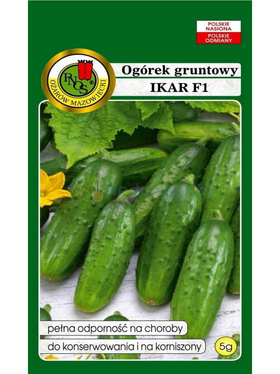Огурец Икар F1 5г PNOS