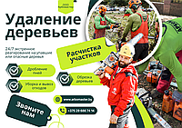 Спилить дерево