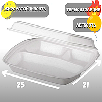 Ланч-бокс одноразовый, трехсекционный 250*210*65