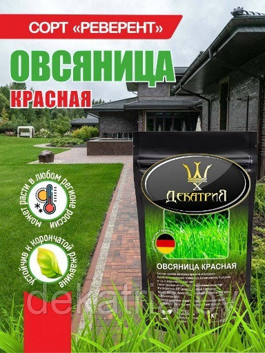 Семена овсяницы красной, сорт Реверент 15кг (Германия)