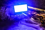 Осветитель Weeylite RB9 RGB, фото 5