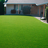 Семена Газонной травосмеси Липпа Лилипут, 10 кг. Lippa-Liliput Extra Fine Lawn Дания EuroGrass, фото 7