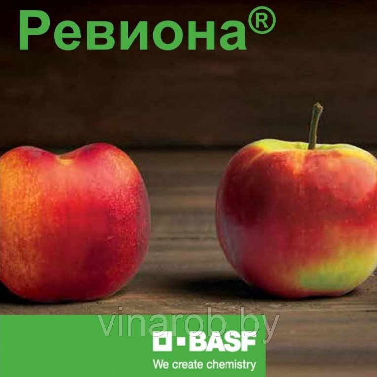 Фунгицид Ревиона (100 мл)