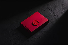 Карты игральные DOOR Red Deluxe Edition от Александра Напорко