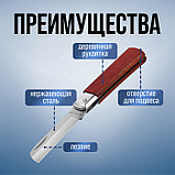 Нож универсальный складной ТУНДРА, деревянная рукоятка, прямое лезвие, нержавеющая сталь, фото 3