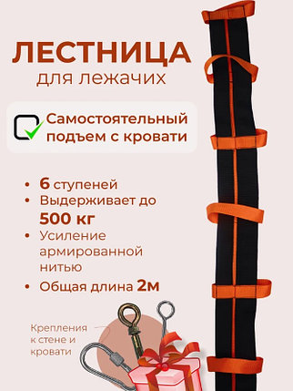 Лестница для лежачих больных, фото 2