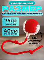 Игрушка для кошек интерактивная Умный мяч со шнурком