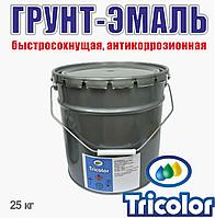 Грунт-эмаль TRICOLOR быстросохнущая 25кг