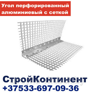 Уголок перфорированный алюминиевый с сеткой ПУ 19х19х2500мм - фото 1 - id-p34635555